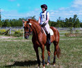 Horse3.jpg