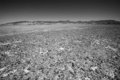 Barren Wasteland