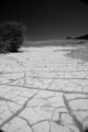 Dried Mud in the Sand Dunes