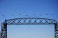 Geese over Lift Bridge