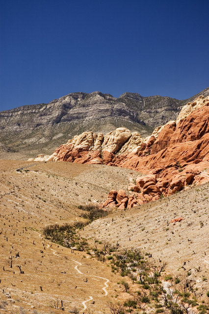 Winding Valley