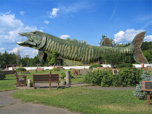 FishMus editselections web IMG_2885.jpg