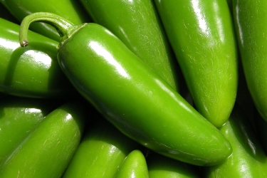 Jalapeno Peppers
