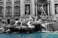 trevi fountain