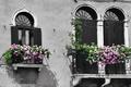 wall and flowers