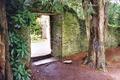 gate and tree