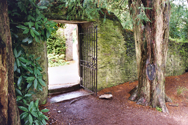 gate and tree