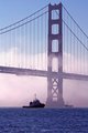 Bridge-Tug.jpg