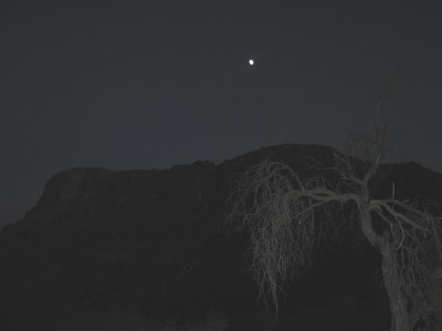 Desert Moon.jpg