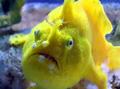 What R U Lookin At?