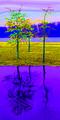 3 Trees