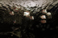 Under Ocean