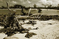 Beach 1