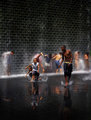 Chicago Shower2