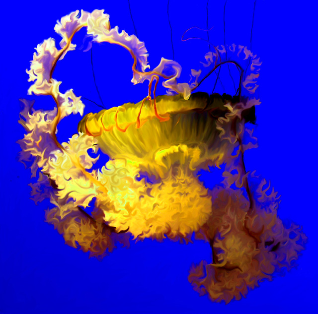 JellyFish3