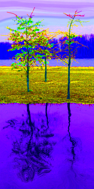 3 Trees