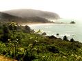 Hwy 1