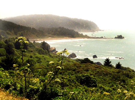 Hwy 1