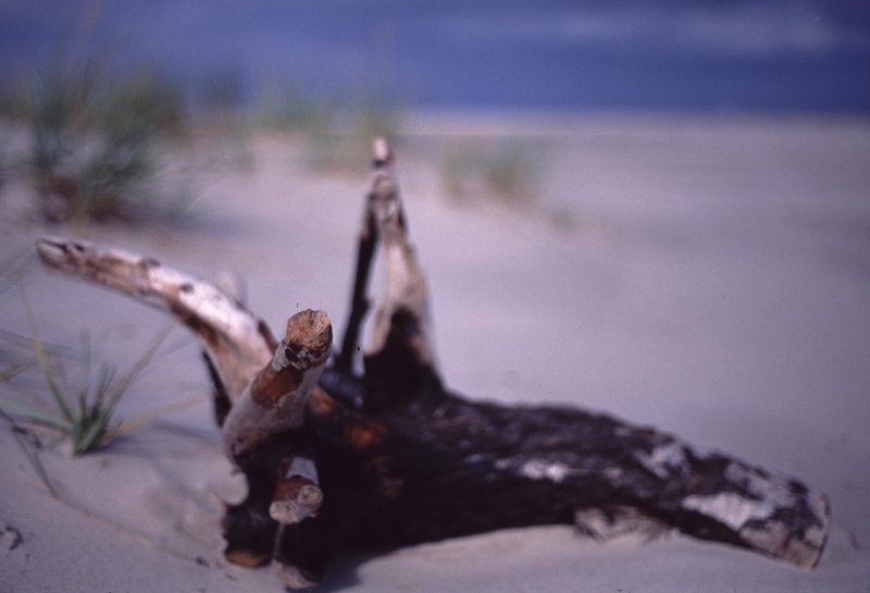 beach burnt.jpg