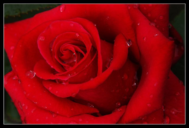 After the rain