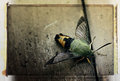 ' . substr('//images.dpchallenge.com/images_portfolio/30000-34999/32602/120/646015.jpg', strrpos('//images.dpchallenge.com/images_portfolio/30000-34999/32602/120/646015.jpg', '/') + 1) . '