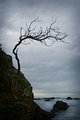 Mystery Bay