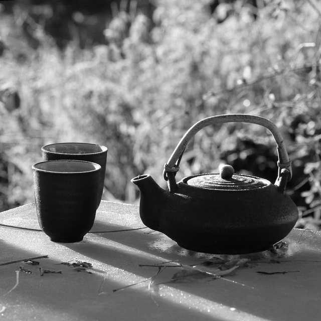 Morning Tea