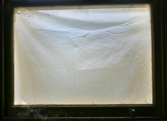 Cobweb Window overlay