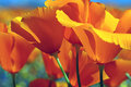 065459_2.jpg