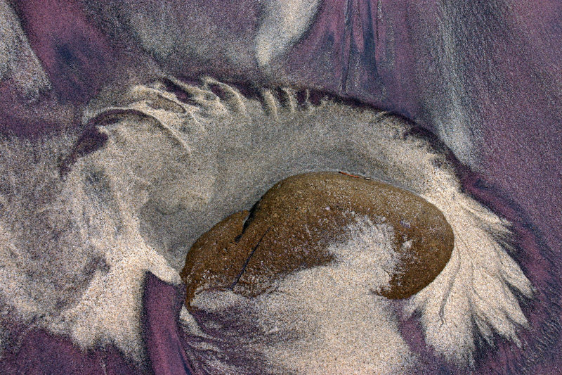 JPbeach0111.jpg