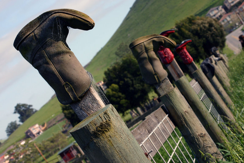 boots1475.jpg