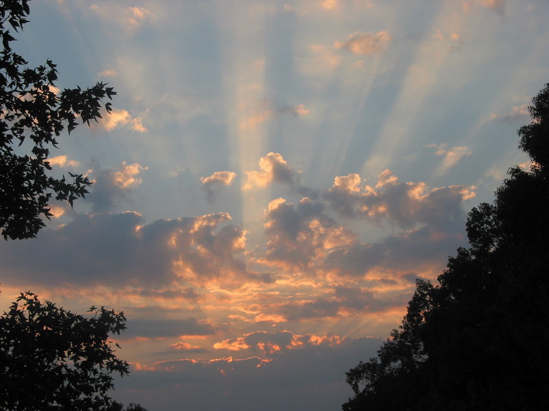 Atlanta Sunset 3.jpg