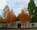 secret garden2.jpg