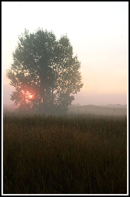 cold-morning.jpg