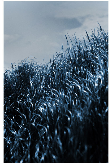 it\'s-in-the-windb.jpg