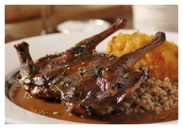 HIL_0108Squab1N.jpg