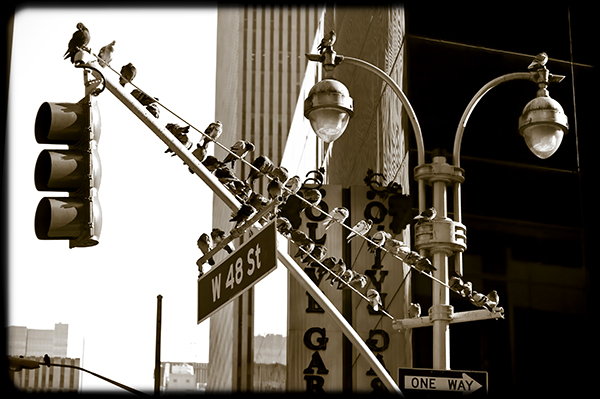 On West 48th