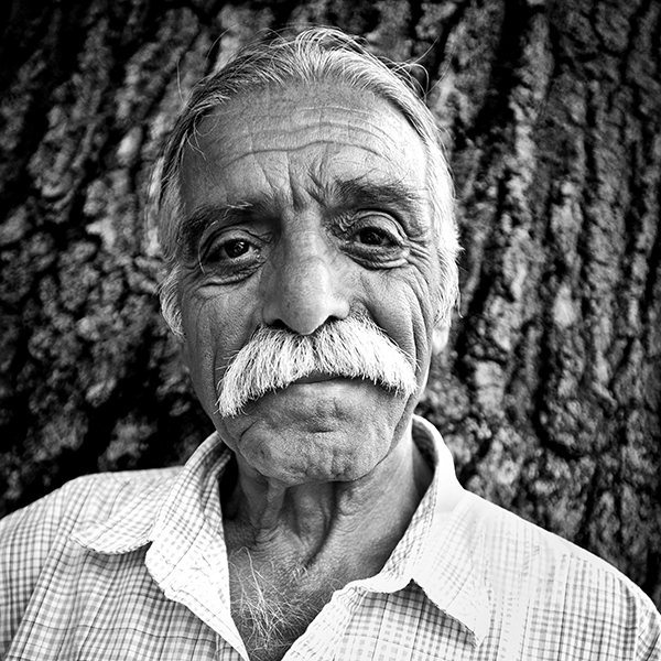 _DSC8097 600 avraim central park