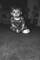 baby_jack.jpg