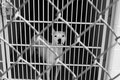1prisoner.jpg