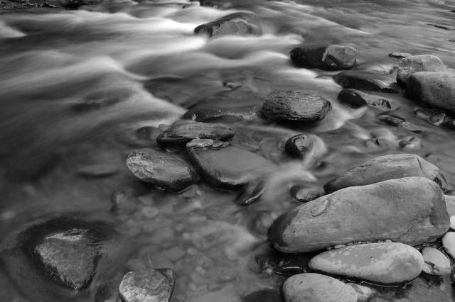 b&W day2 fi.jpg
