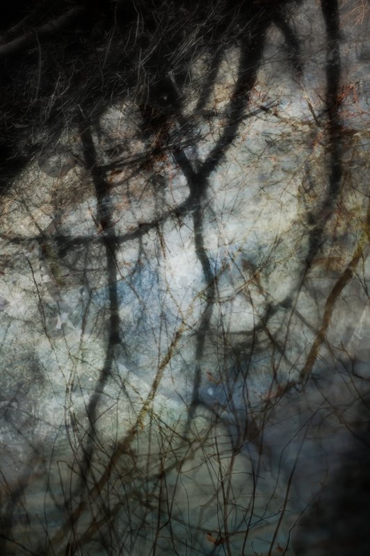 reflection_filtered2.jpg