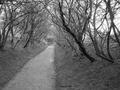 Winters path