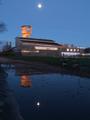 Slimbridge WWT by Moonlight