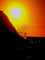 Sun Spray