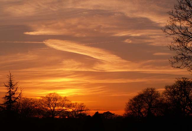 Winter Sunset