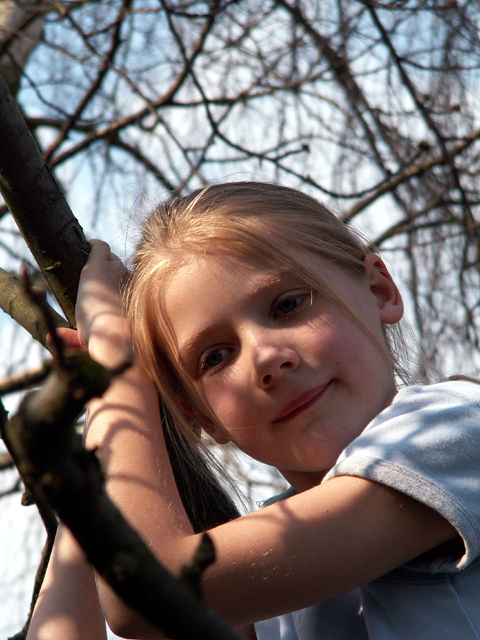 Beth in the tree