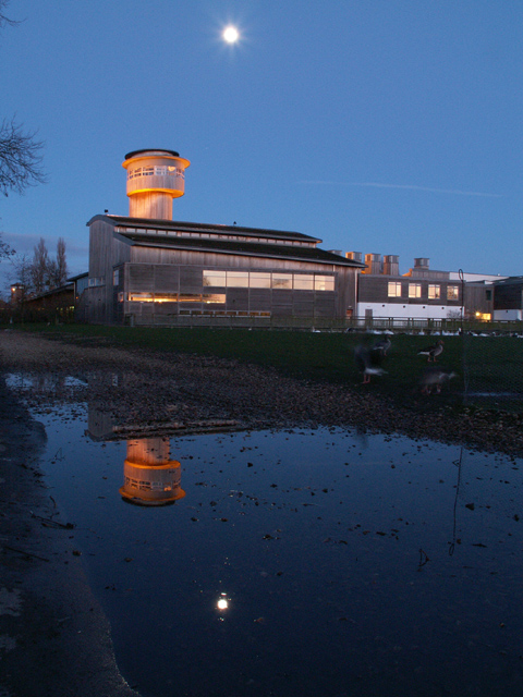Slimbridge WWT by Moonlight