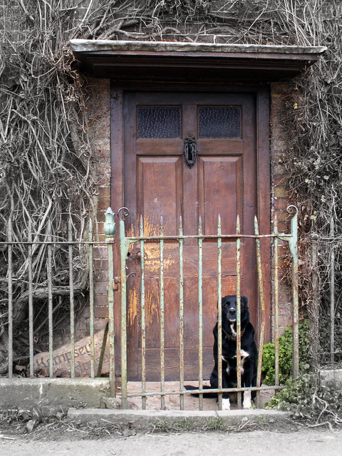 On Guard.jpg