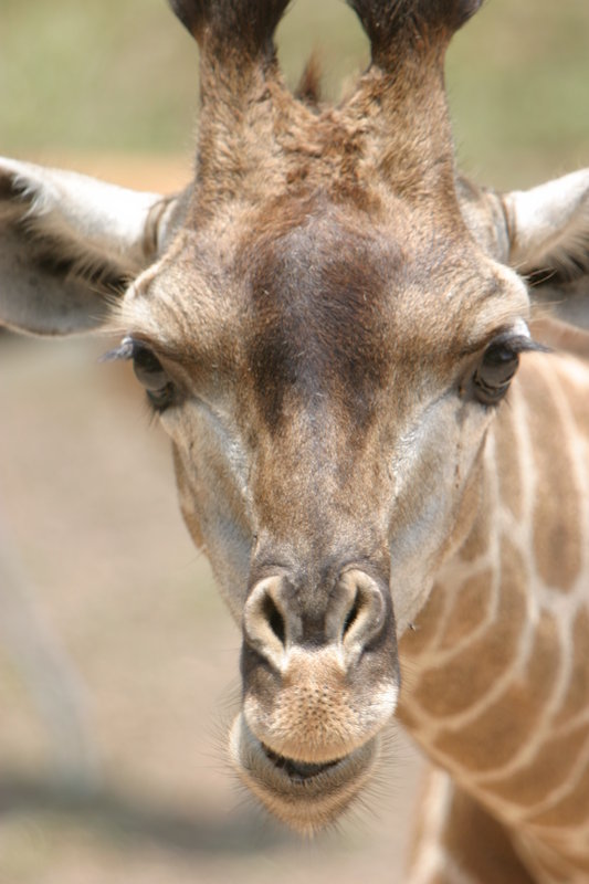 Phew - is that edible?